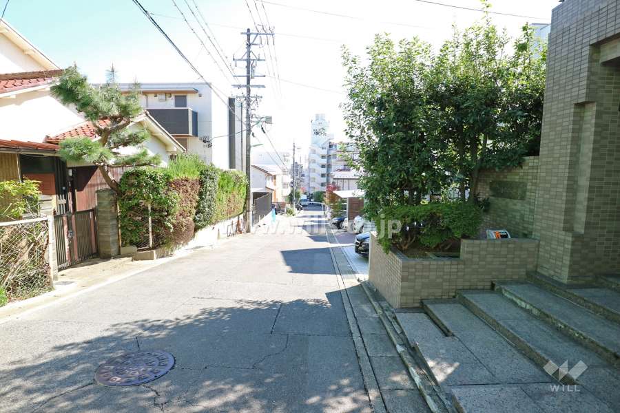 敷地の北東側前面道路（南東側から）
