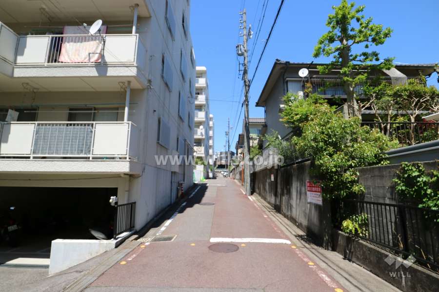敷地東側の前面道路(南側から)