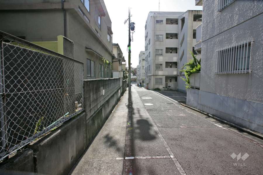 敷地内東側の通路