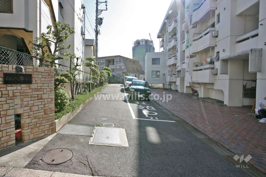 敷地北側の道路(正面が荘苑八事第2です)