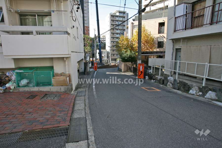 敷地北側の前面道路(東側から)