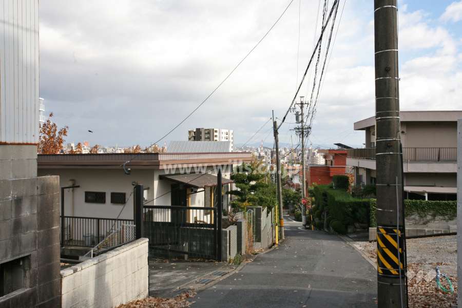敷地前面道路からの景色良好です。