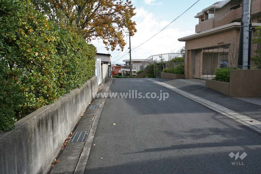 敷地北側の前面道路(西側から)