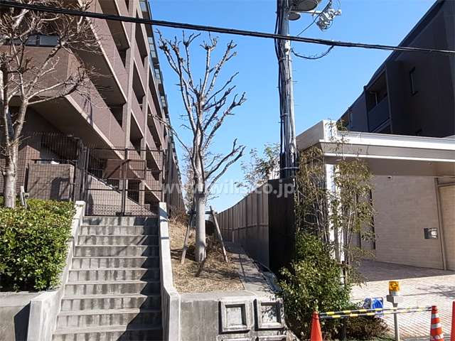敷地南側にはマンションが立っていますが、間隔があります。