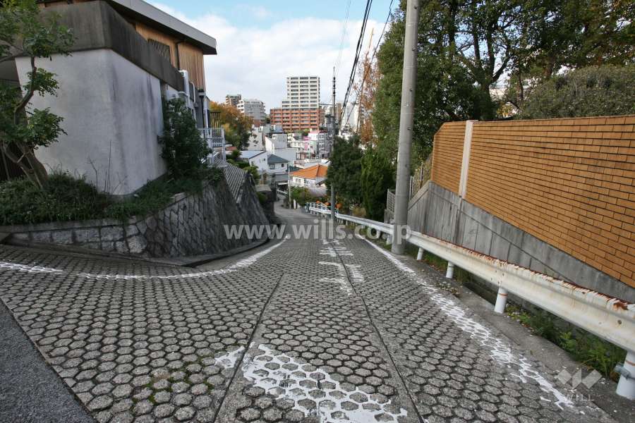 敷地南西側の前面道路(南東側から)
