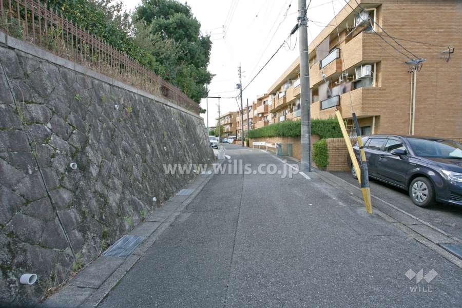 敷地南側の前面道路(東側から)