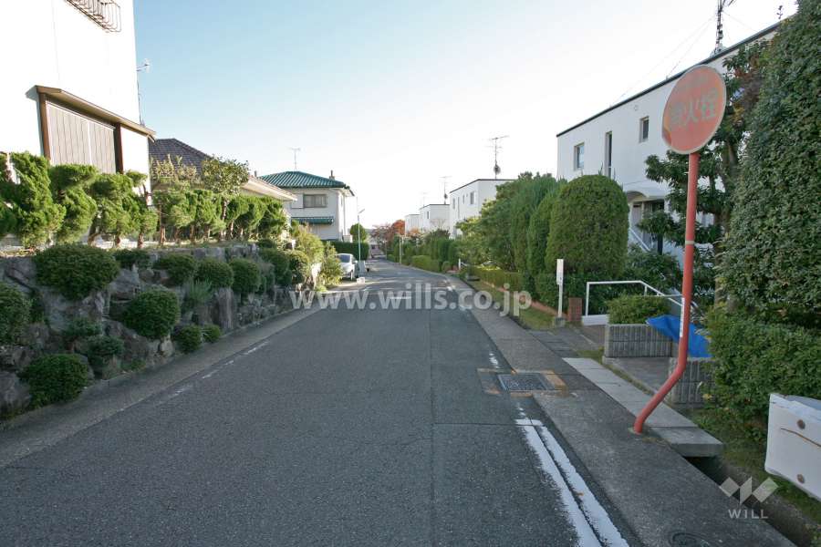 敷地東側の前面道路(北側から)