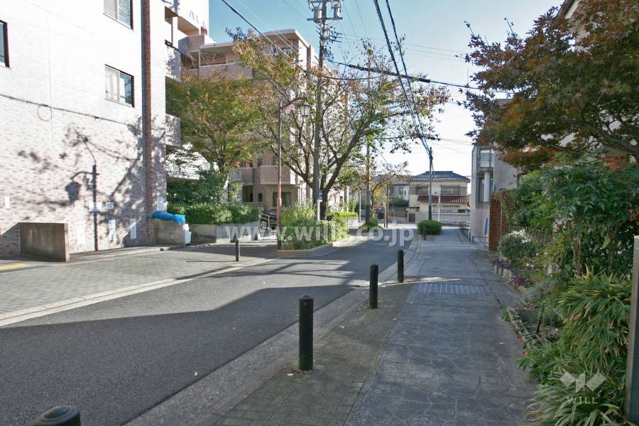 敷地西側の前面道路(北側から)