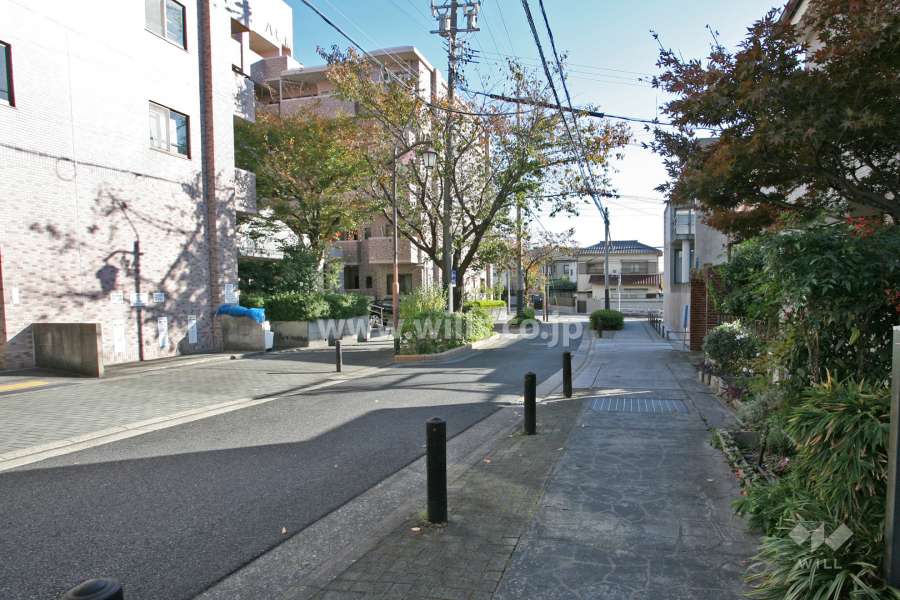 敷地西側の前面道路(北側から)