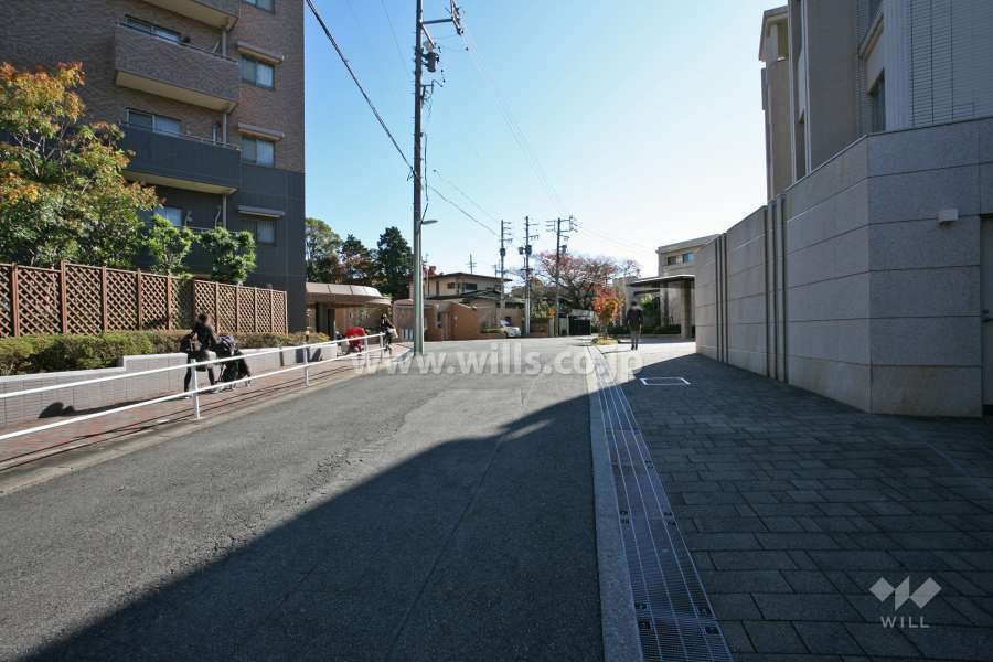 敷地東側の前面道路(北側から)