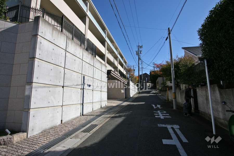 敷地南西側の前面道路(北西側から)
