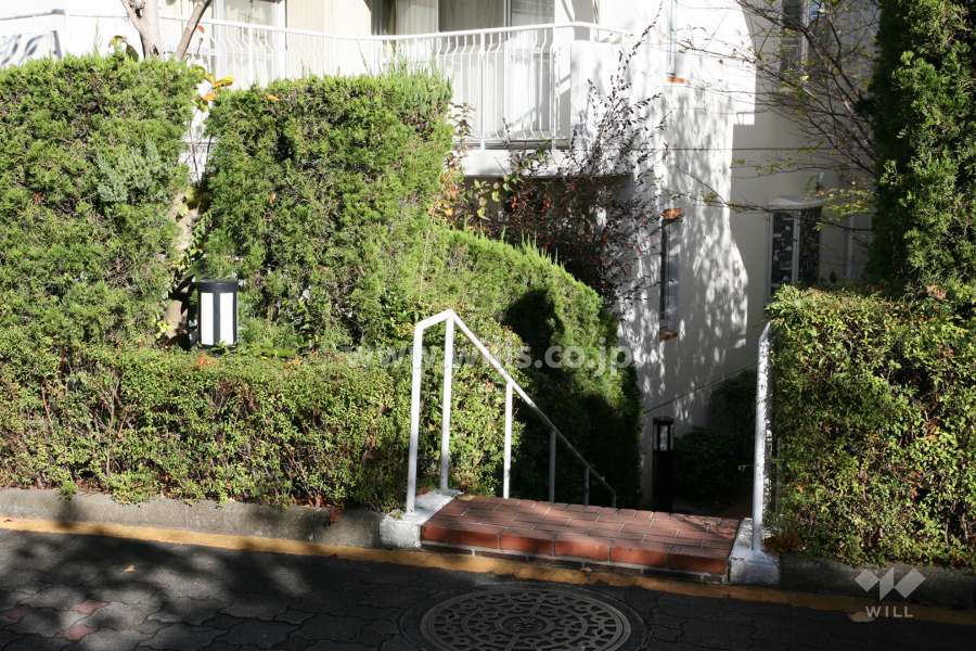 通路（南側）
