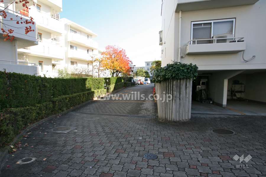 通路（西側）