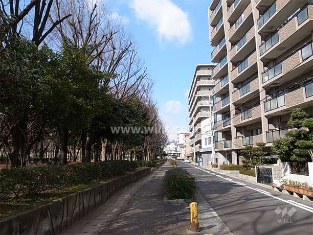 敷地南側の前面道路。道を挟んで南側には「南吹田公園」が広がっています。