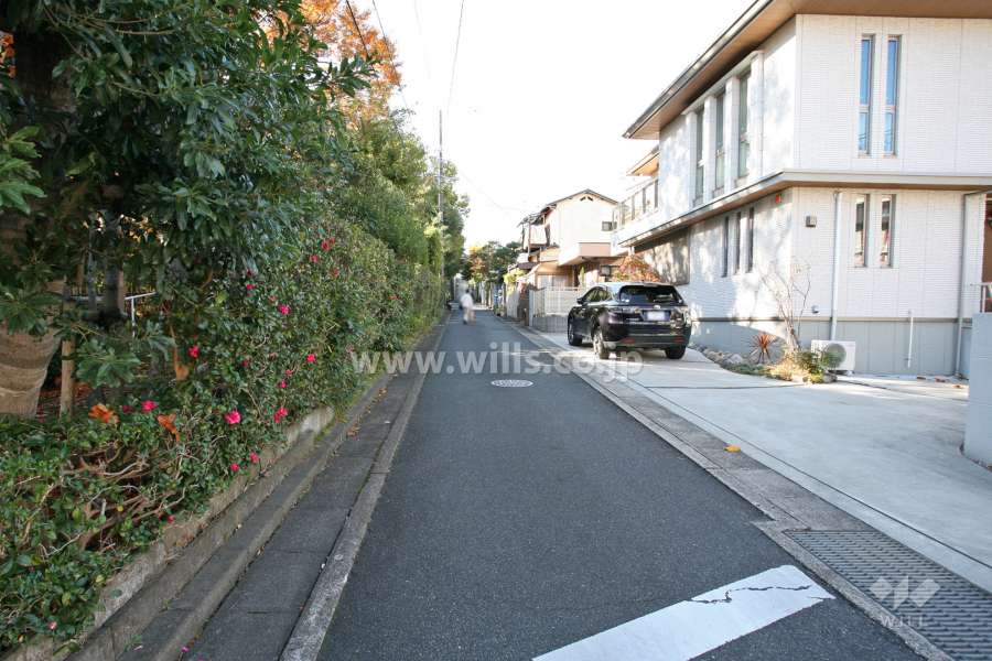 敷地北側の前面道路（東側から）