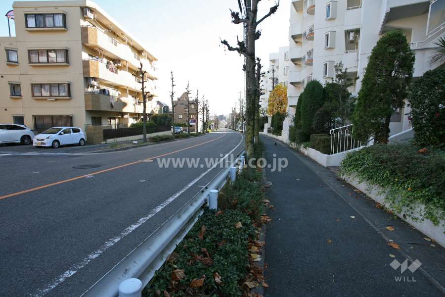 敷地東側の前面道路（北側から）