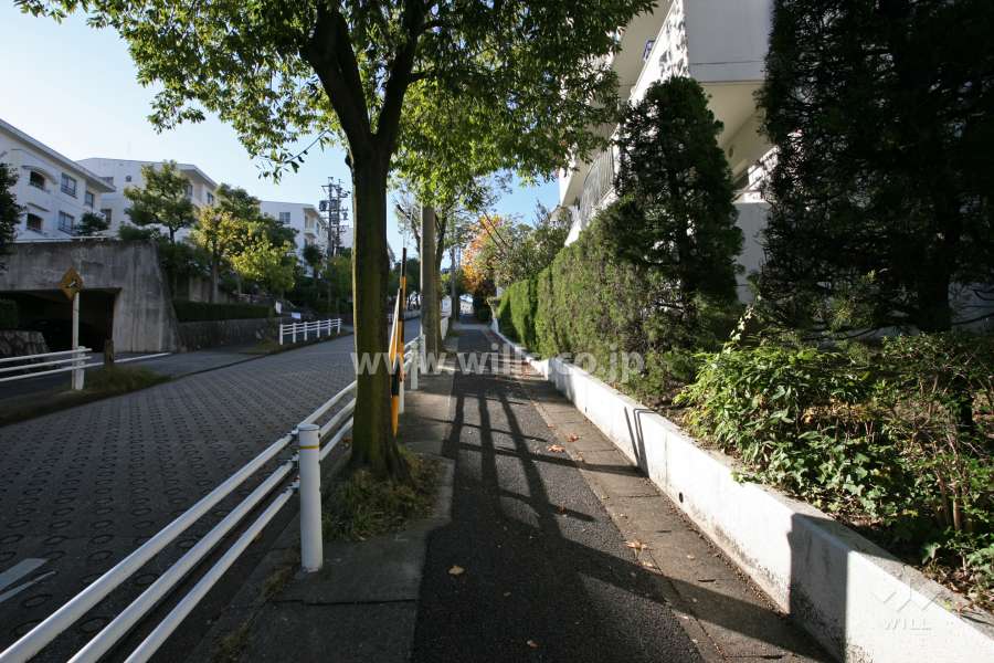 敷地南側の前面道路（東側から）