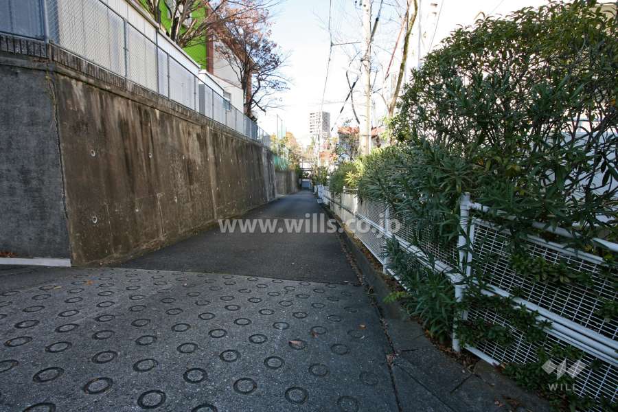 敷地西側の前面道路（南側から）