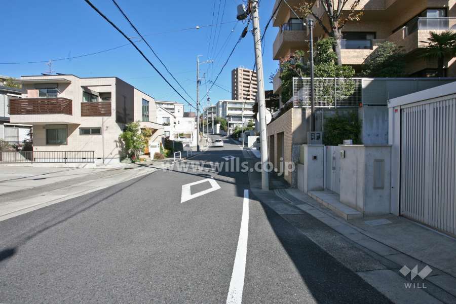 敷地北西側の前面道路(南西側から)