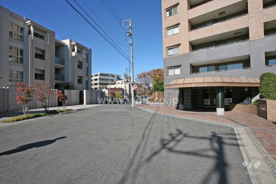 敷地の前面道路