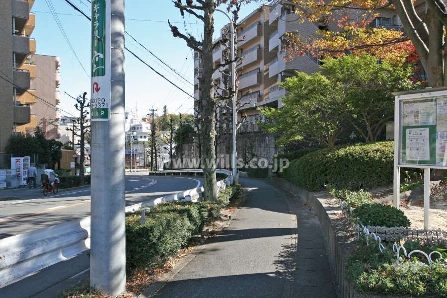 敷地の前面道路 