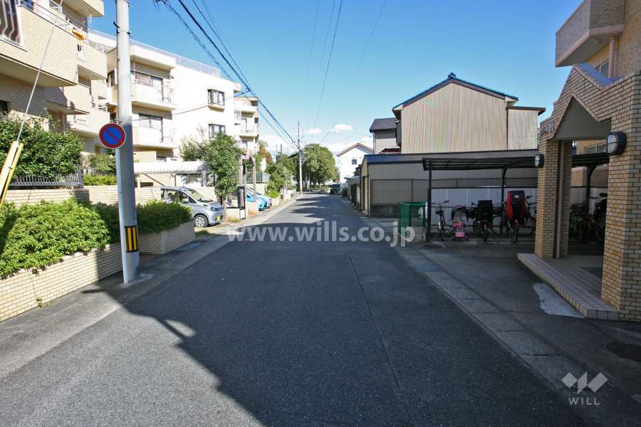 敷地南側の前面道路(南西側から)