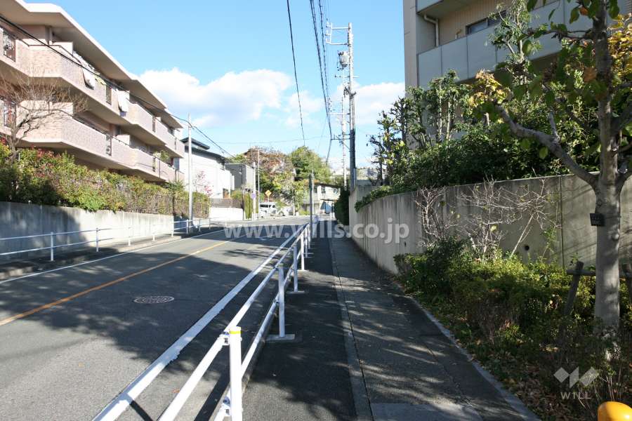 敷地北側の前面道路（西側から）