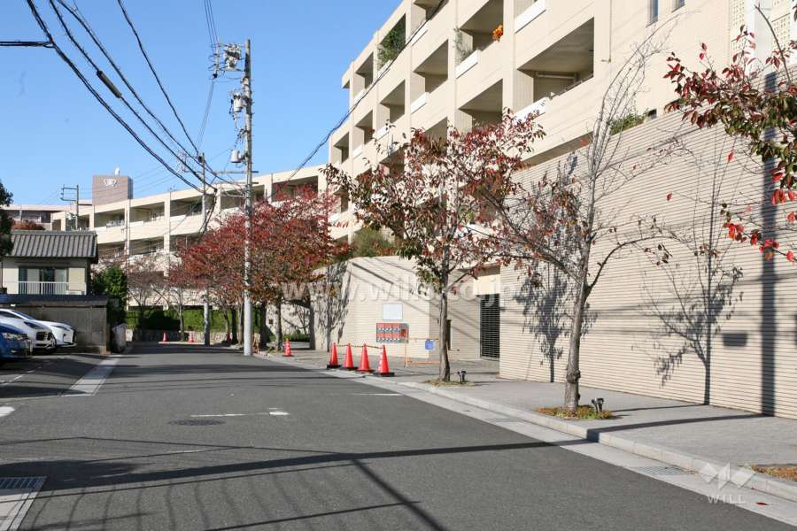 敷地西側の前面道路（南側から）
