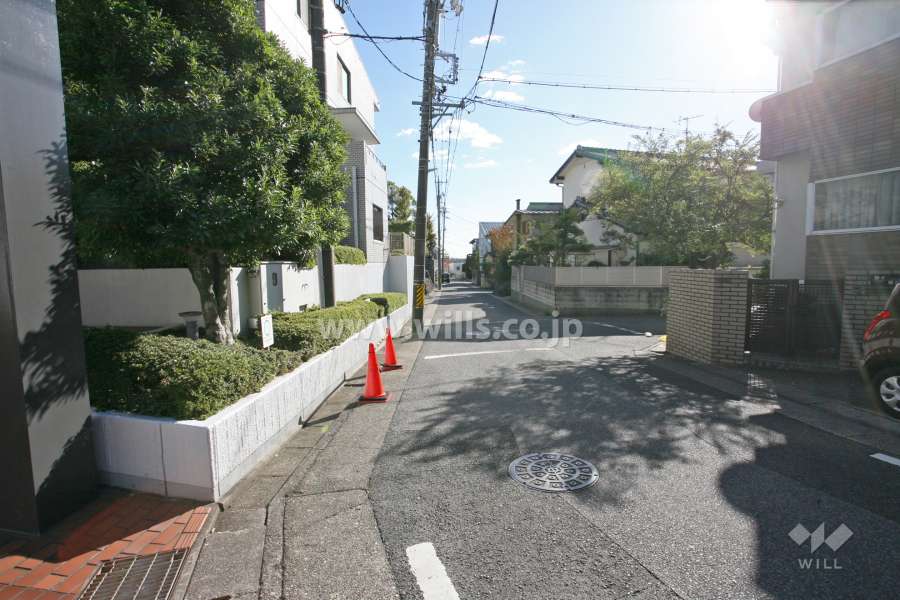 敷地西側の前面道路（北側から）