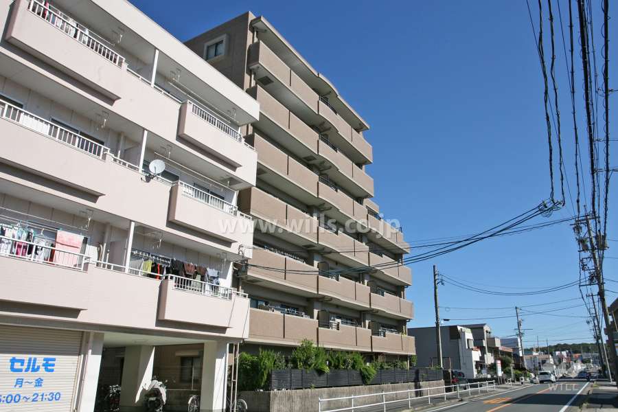 ダイアパレス野並の外観(南側から)