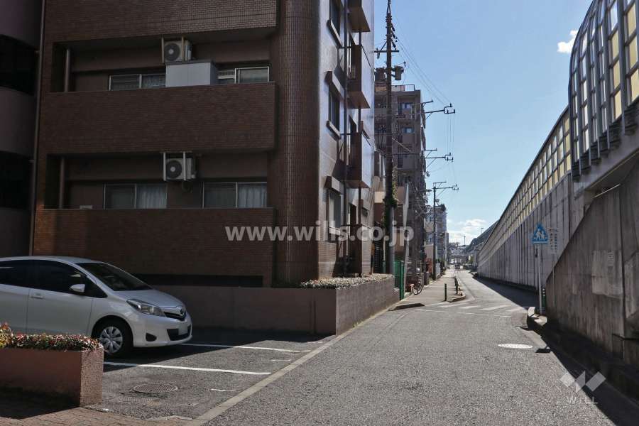 敷地西側の前面道路（北側から）