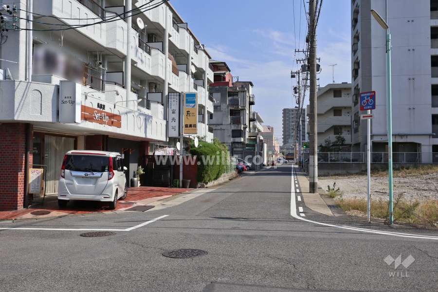 敷地南側の前面道路（西側から）