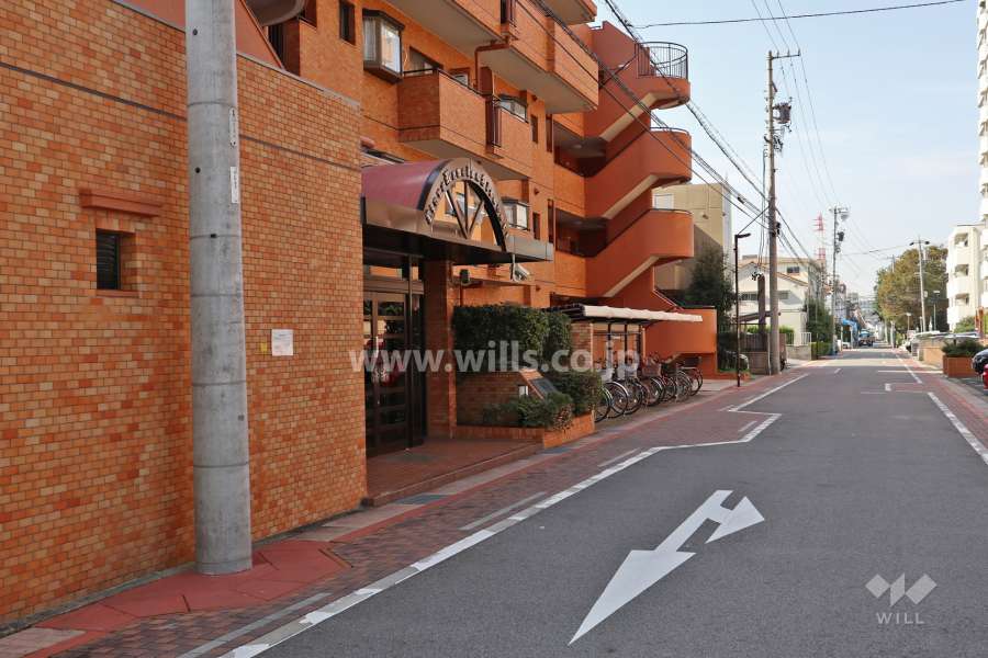 敷地北側の前面道路（東側から）