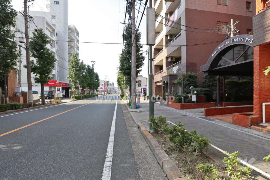 敷地の側前面道路（南側から）