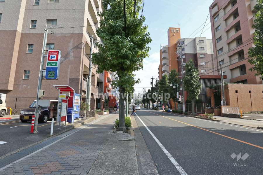 敷地南側の前面道路（西側から）