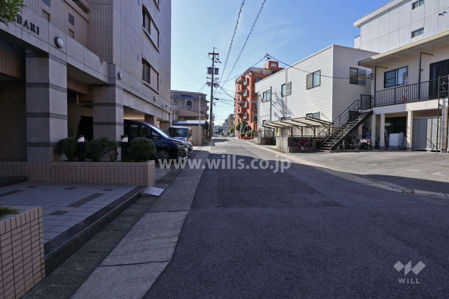 敷地西側の前面道路（北側から）