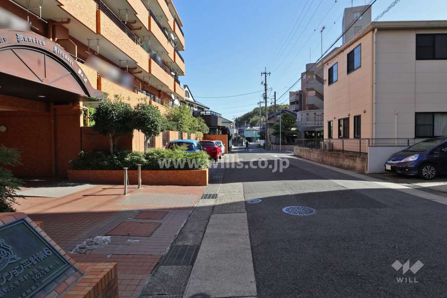 敷地南側の前面道路（西側から）