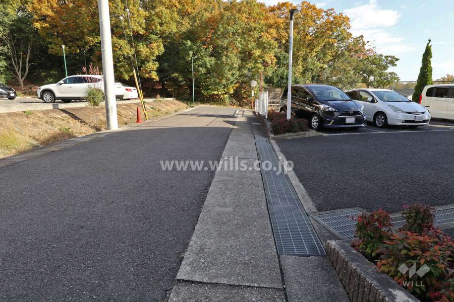 敷地西側の前面道路（北側から）