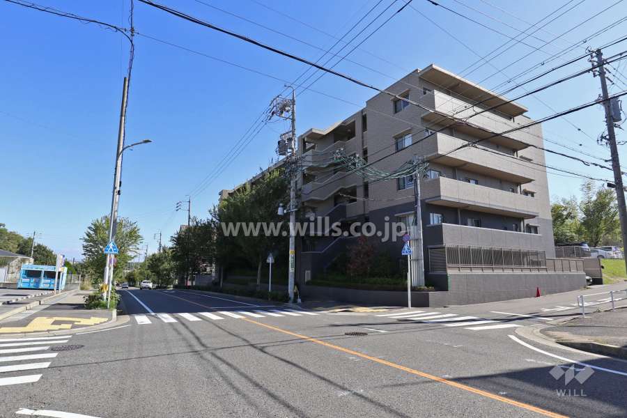 敷地北側の前面道路（東側から）