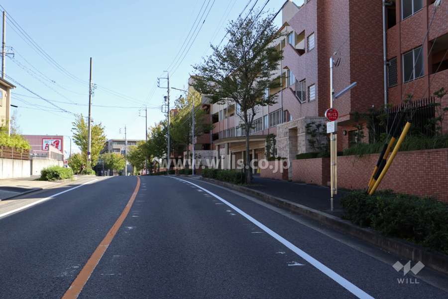 敷地北側の前面道路（東側から）