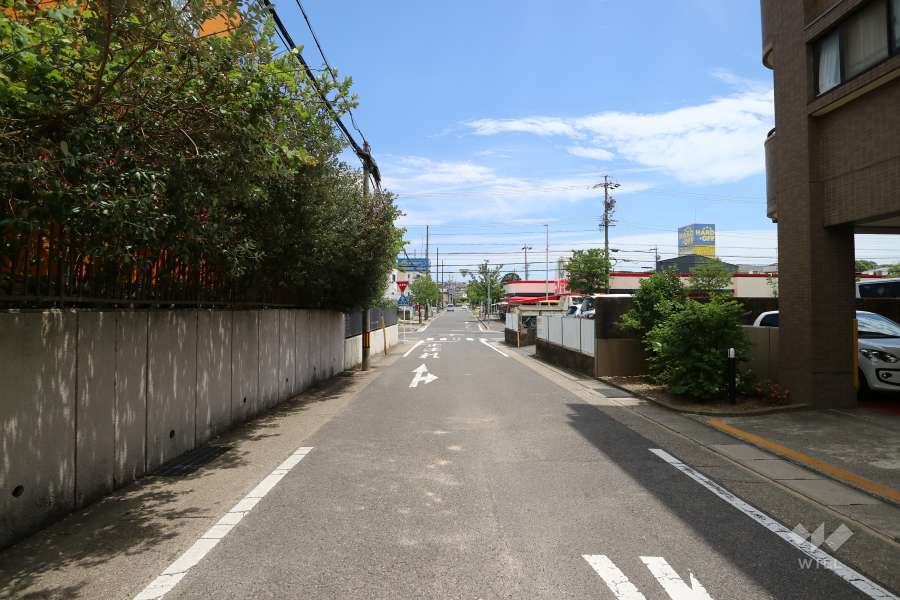 敷地東側の前面道路（北側から）