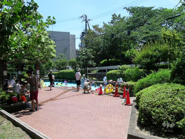 敷地内のプール