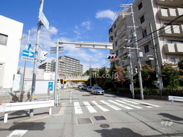 敷地西側は国道176号線に面しています。3方が抜けた開放感のある立地です。
