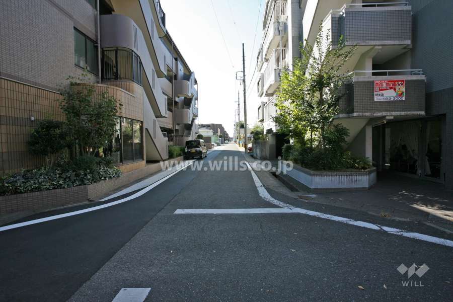 敷地北西側の前面道路