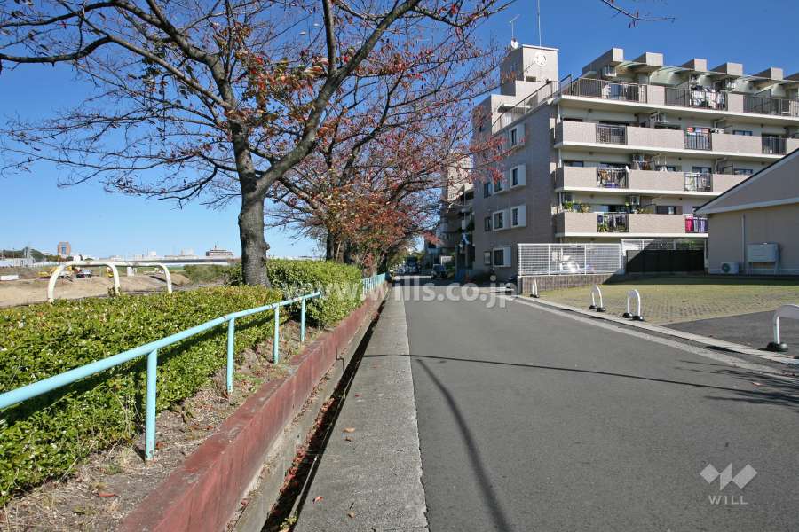 敷地の前面道路