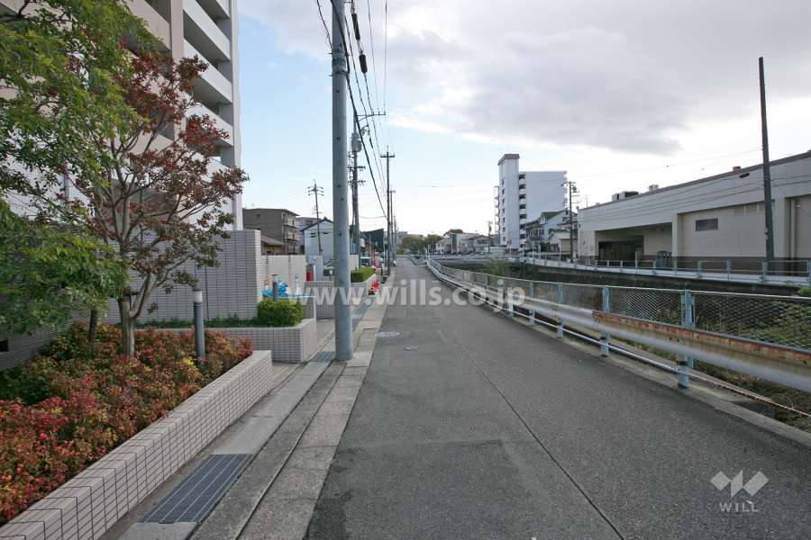 敷地南側の前面道路(西側から)