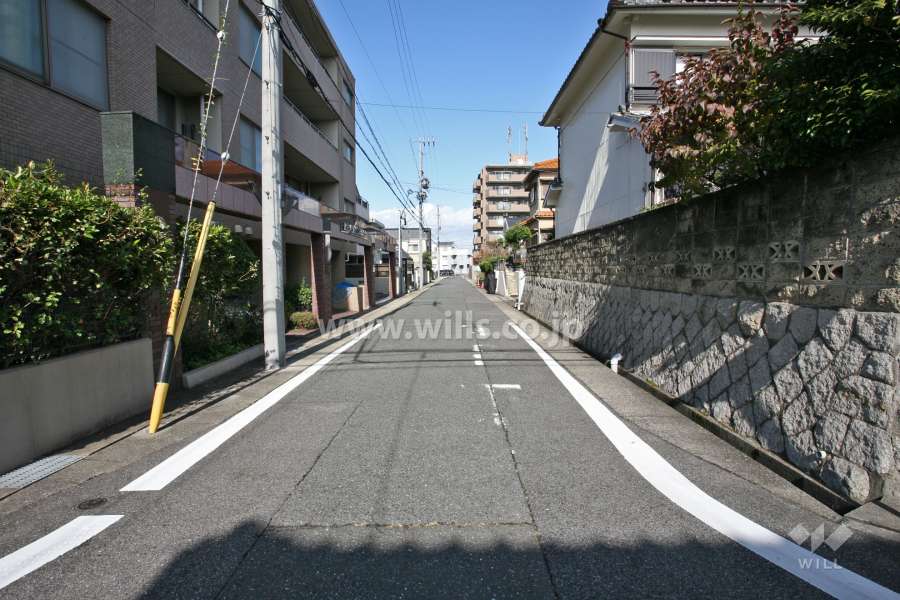 敷地東側の前面道路(南側から)