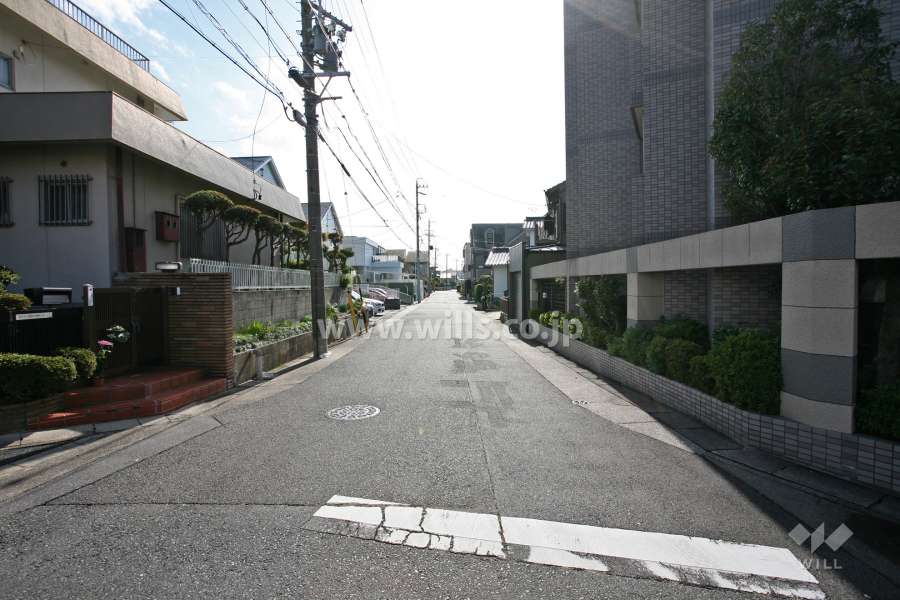 敷地東側の前面道路