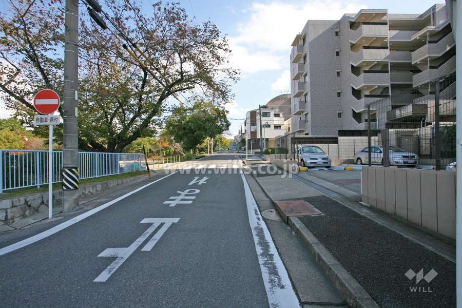 敷地北側の前面道路
