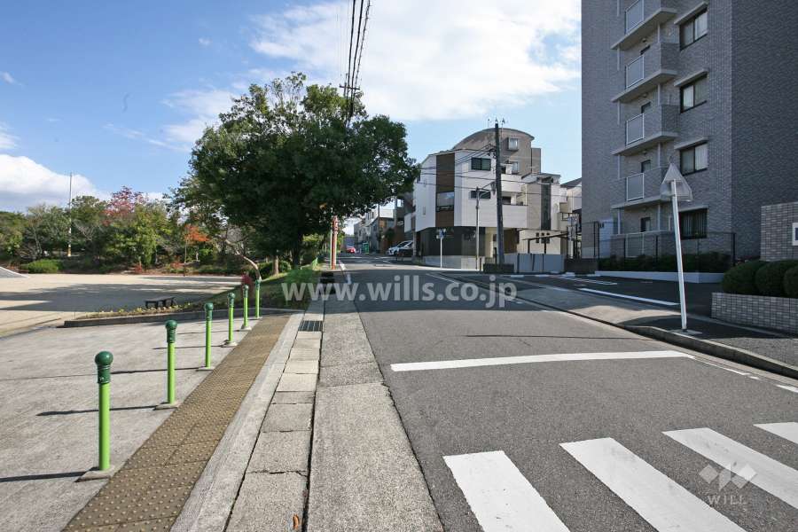 敷地北側の前面道路